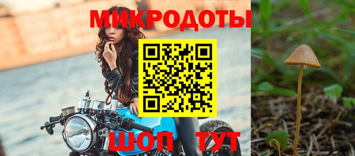 Псилоцибиновые грибы прущие грибы Дубна
