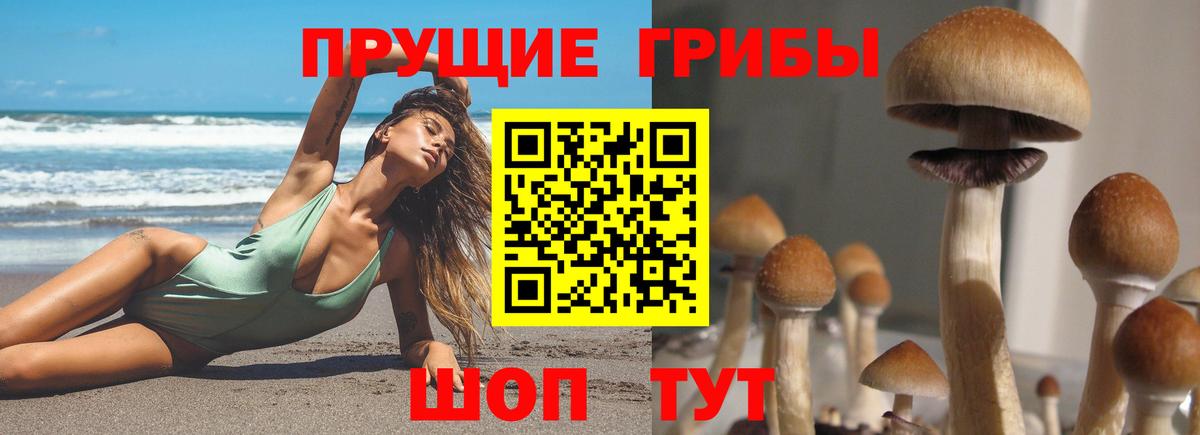 Дубна  Галлюциногенные грибы Magic Shrooms  Псилоцибиновые грибы мухоморы  Вход с VPN 